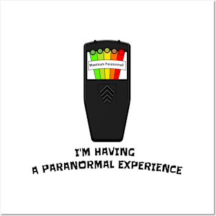 I'm Having a Paranormal Experience Posters and Art